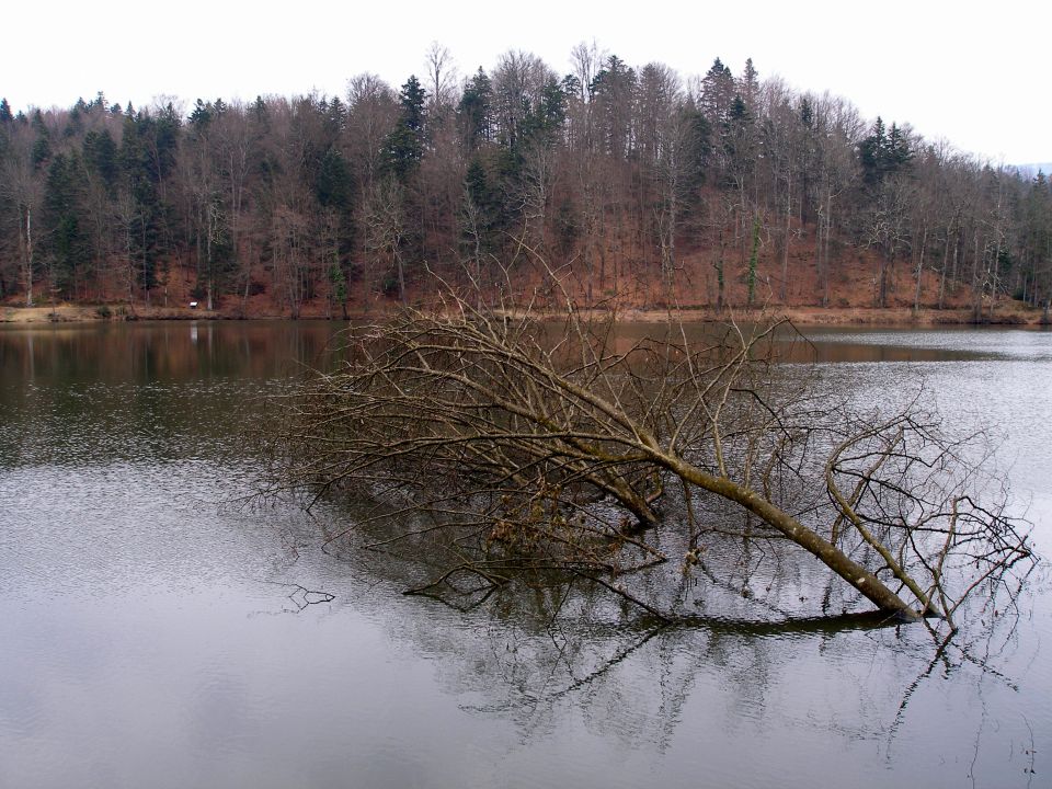 Trakoščan 5.3./6.2. 2014 - foto povečava