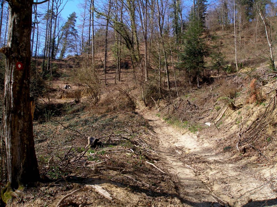 Bračičeva pot - 20.3./23.2.2014 - foto povečava