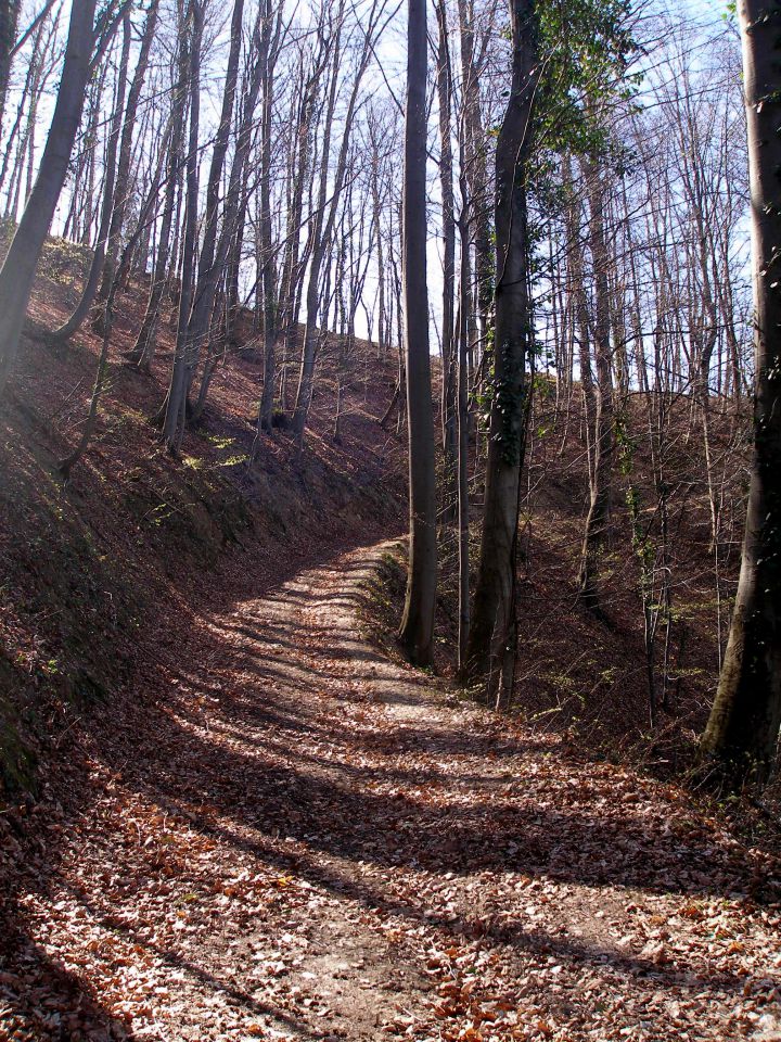 Bračičeva pot - 20.3./23.2.2014 - foto povečava