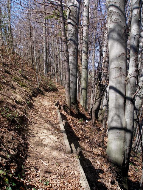 Bračičeva pot - 20.3./23.2.2014 - foto