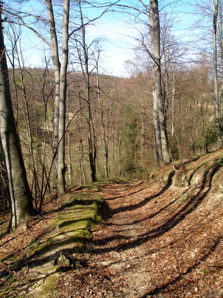 Bračičeva pot - 20.3./23.2.2014 - foto povečava