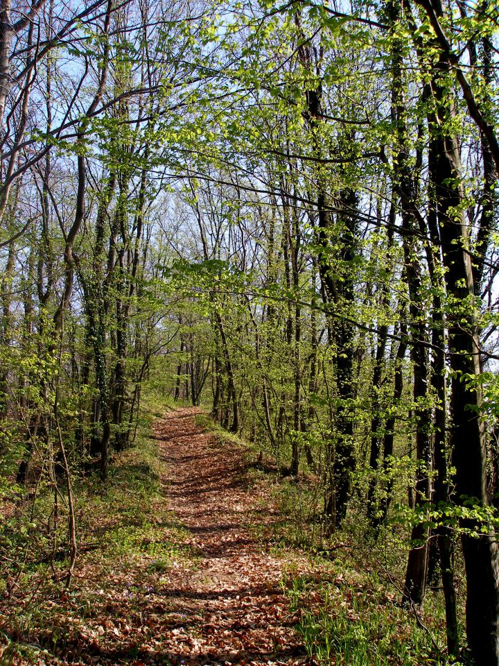 Gradišča-Ravna gora 29.12./3.2014 - foto povečava