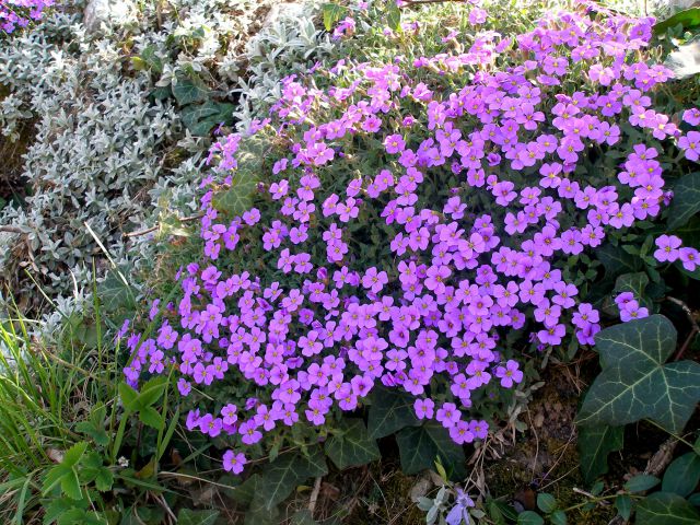 Gradišča-Ravna gora 29.12./3.2014 - foto