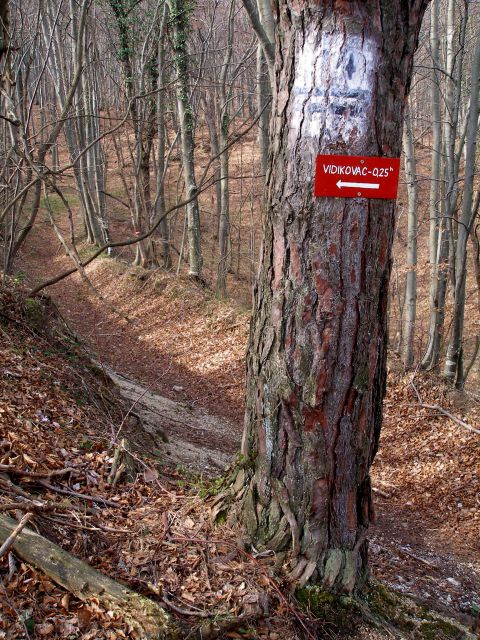 Zdaj pa naprej gor na Velike Babice