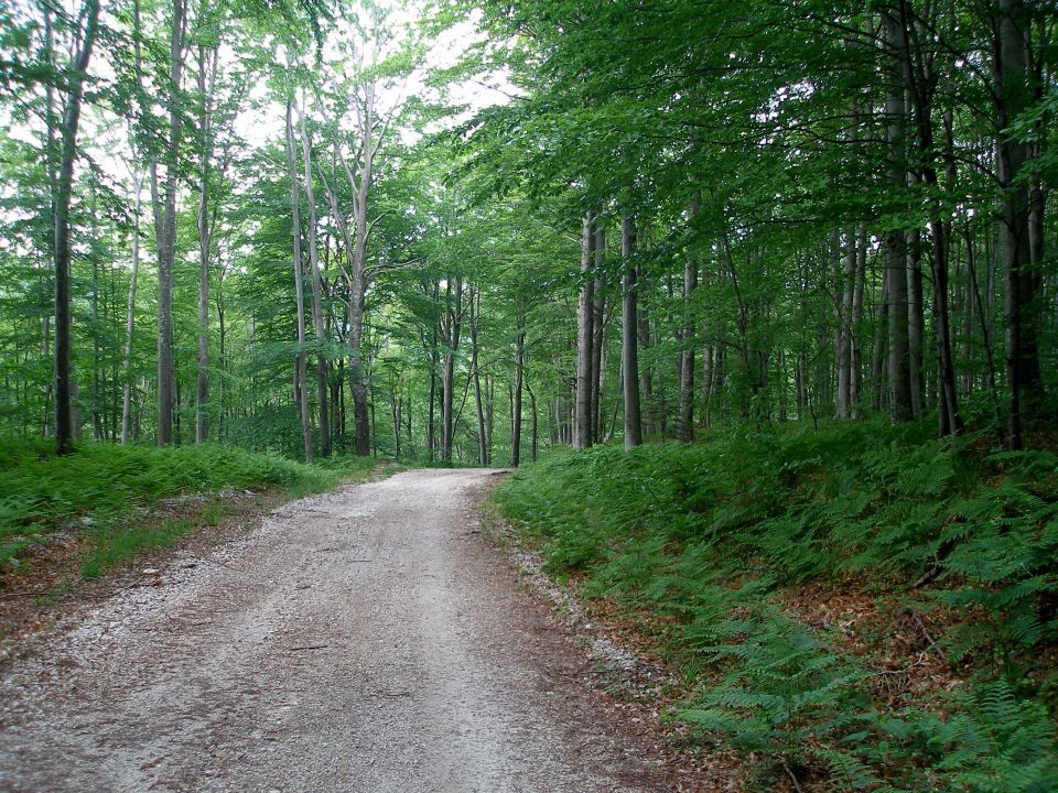spust proti Cimerplacu