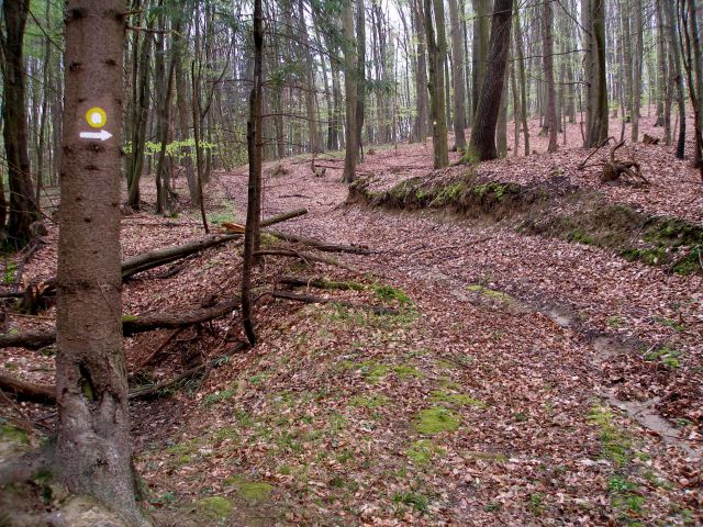 Gradišča-Zavrč 25.3.2014 - foto