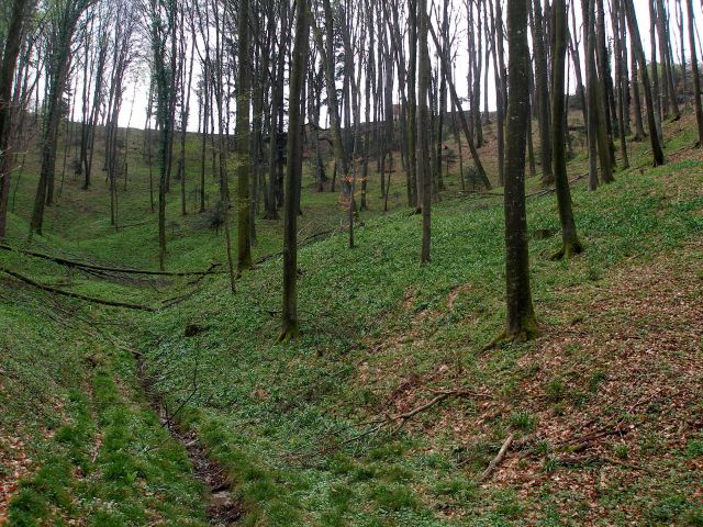 Gradišča-Pohorje 26.3.2014 - foto