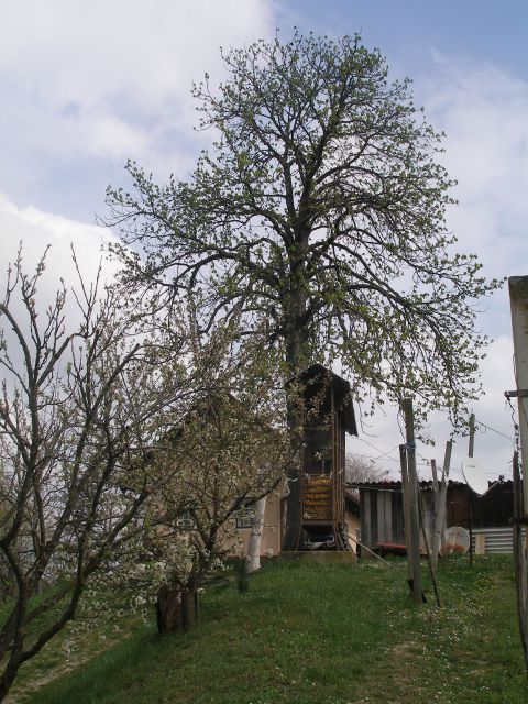 Gradišča-Pohorje 26.3.2014 - foto