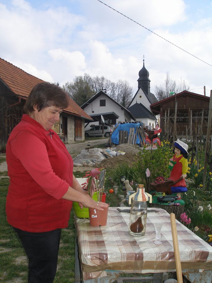 gospo Dragico sem zmotil pri presajanju rožic