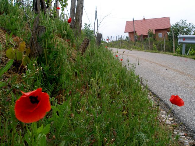 Gradišča-Sv.Florjan 4.5.2014 - foto