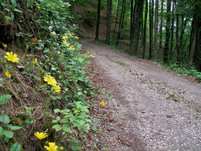 Gradišča-Sv.Florjan 4.5.2014 - foto