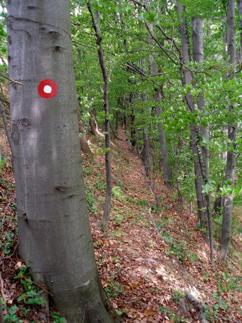 Gradišča-Sv.Florjan 4.5.2014 - foto