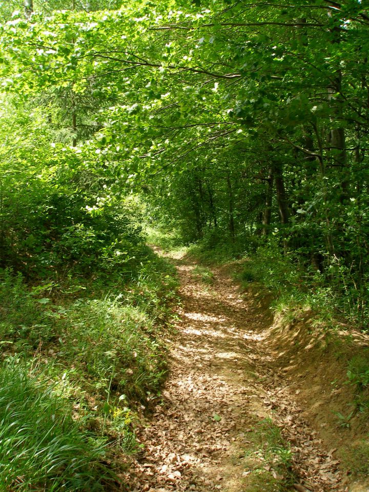 Gradišča-Sv.Florjan 4.5.2014 - foto povečava