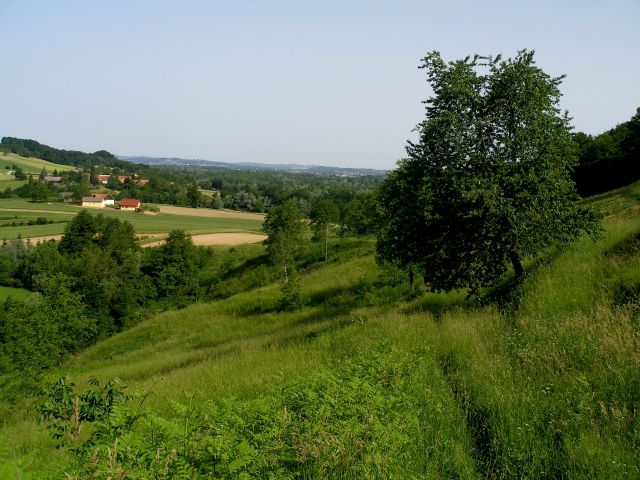 Pa se spustimo z brega na Dravsko polje