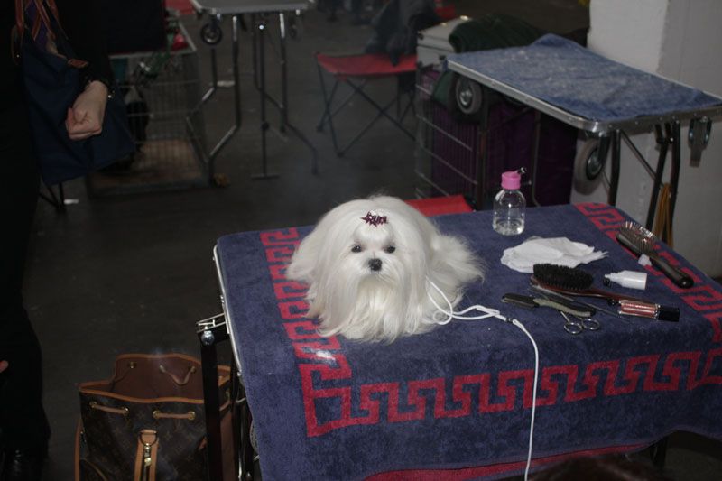 Kelly - foto povečava