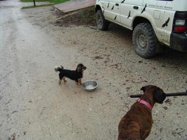 Soča - foto