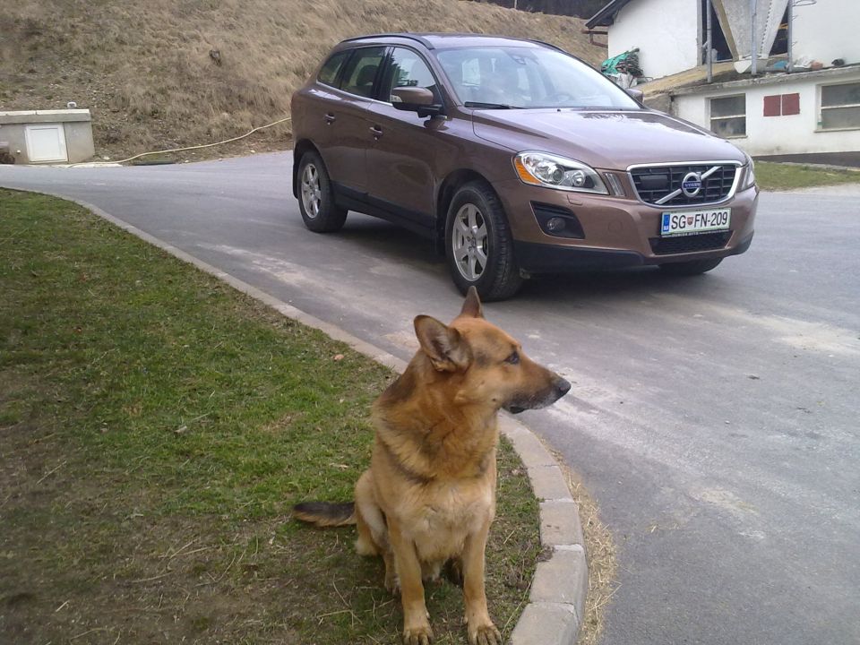 Volvo - foto povečava