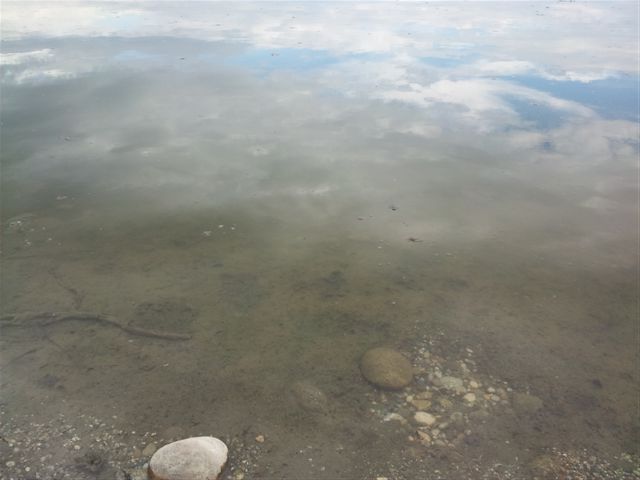 Drava