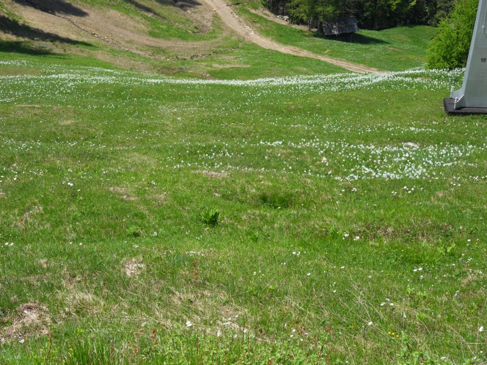 25. 5. 2010 - foto povečava