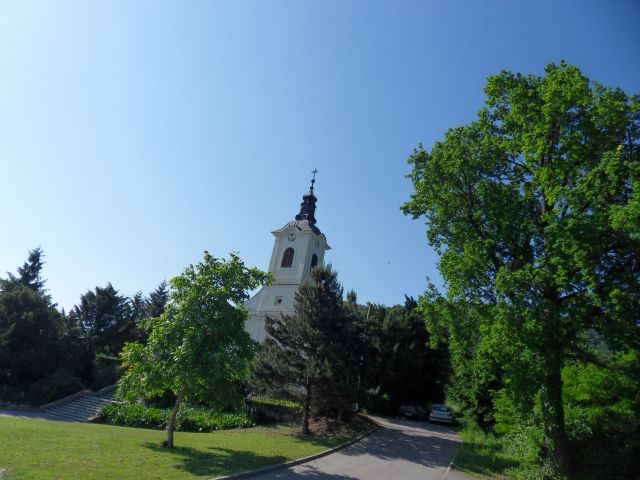 27. 5. 2010 - foto