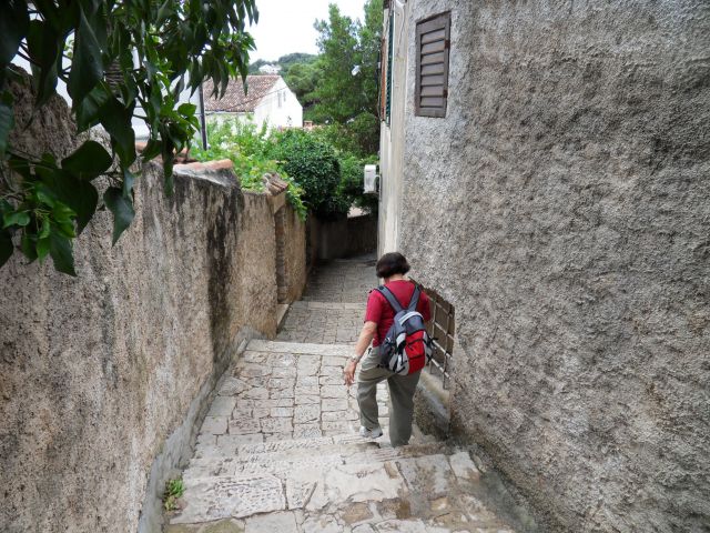 20. 6. 2010 - foto