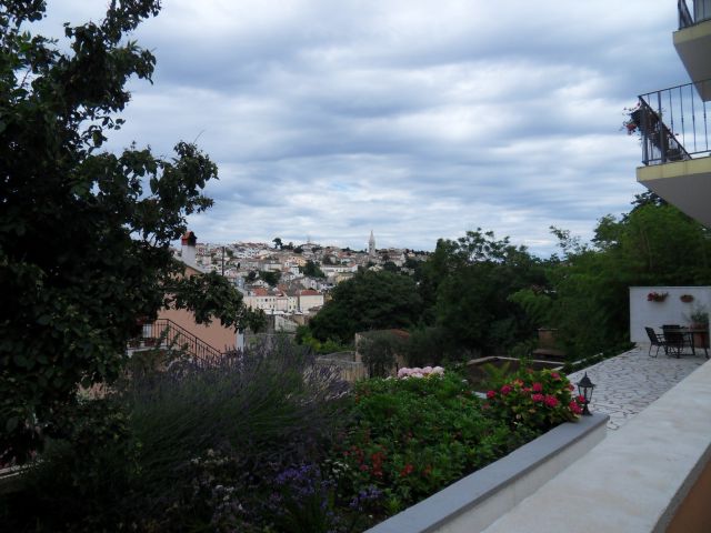 20. 6. 2010 - foto