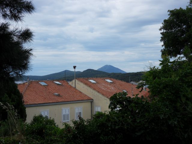 20. 6. 2010 - foto