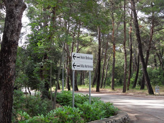 20. 6. 2010 - foto