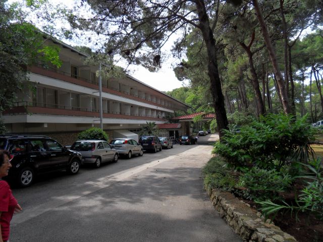 20. 6. 2010 - foto