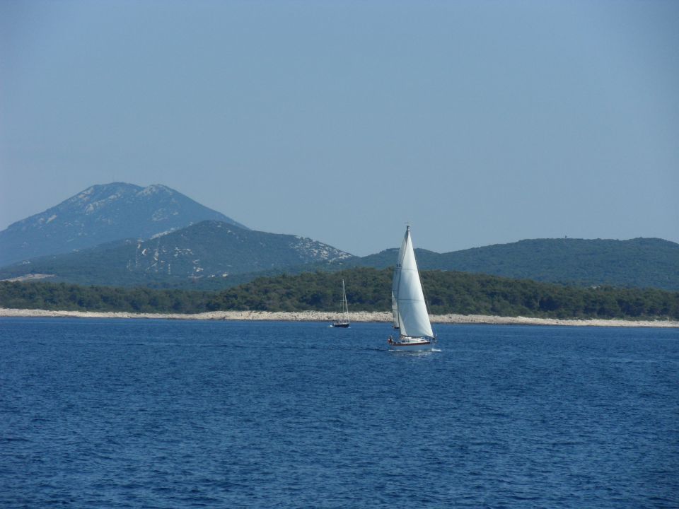 25. 6. 2010 - foto povečava