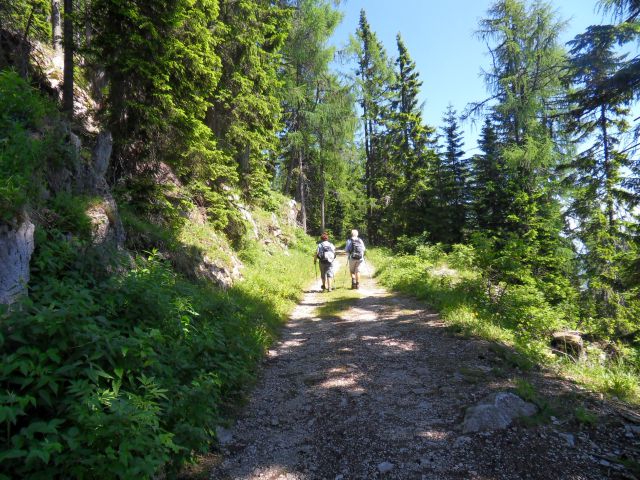 28. 6. 2010 - foto