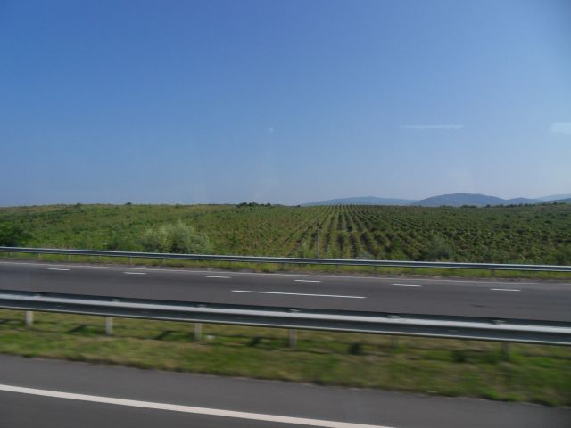 17. 7. 2010 - foto