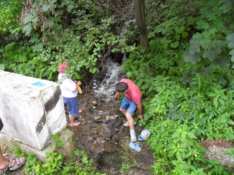 17. 7. 2010 - foto povečava