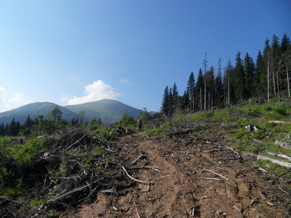 19. 7. 2010 - foto povečava