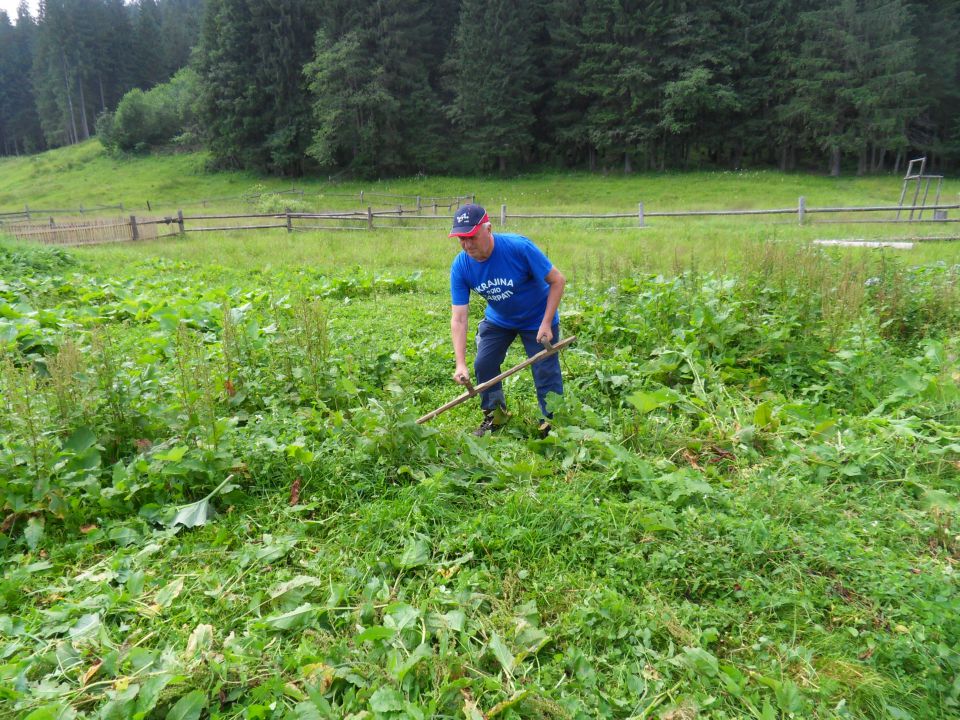 19. 7. 2010 - foto povečava