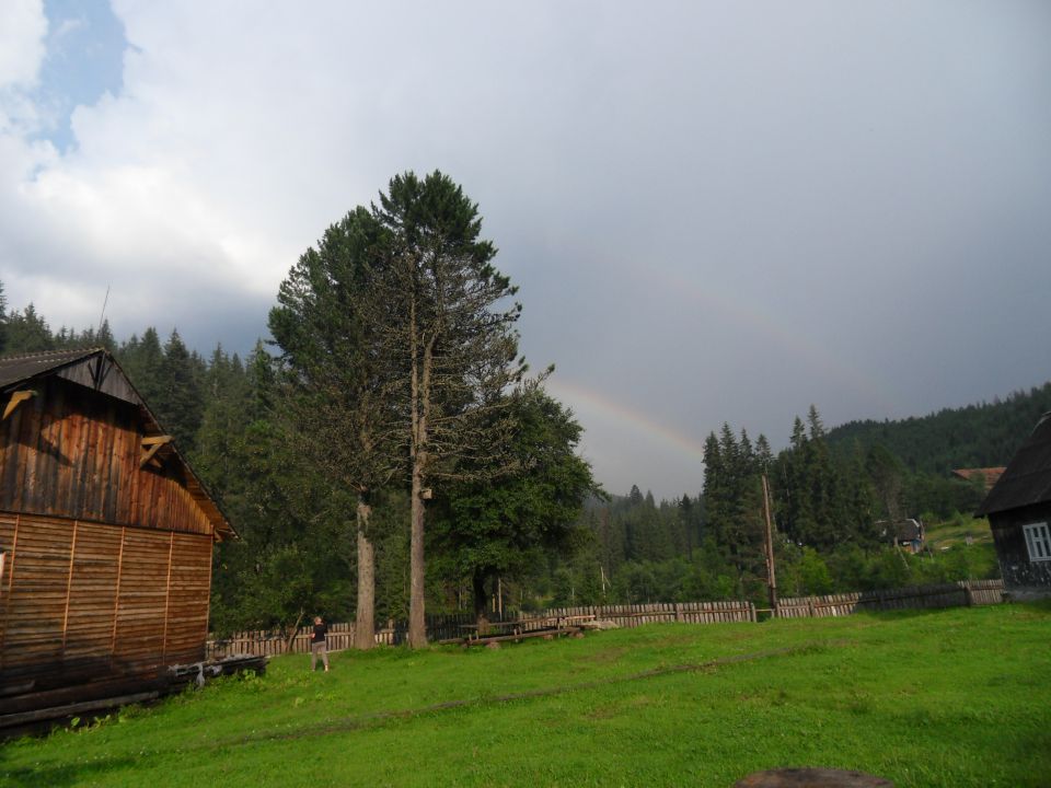 19. 7. 2010 - foto povečava