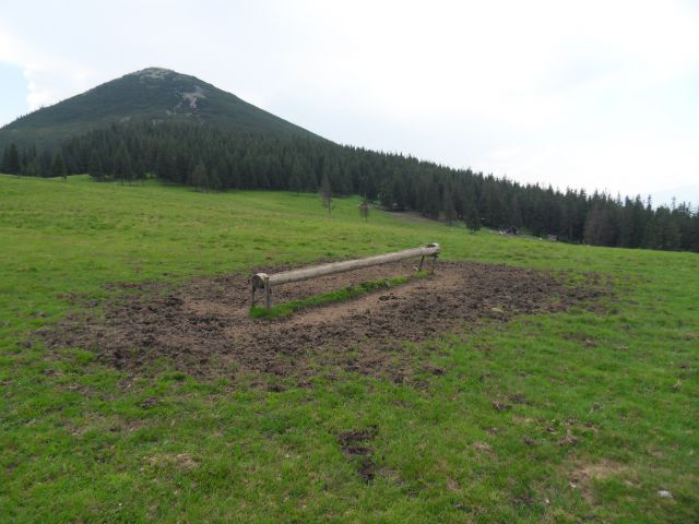 21. 7. 2010 - foto