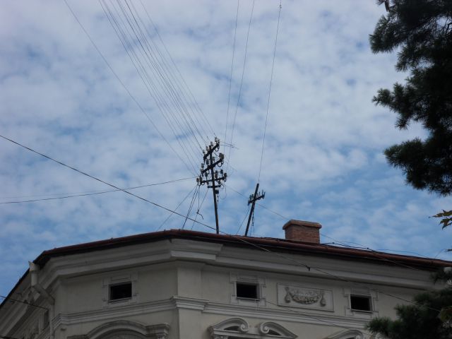 22. 7. 2010 - foto