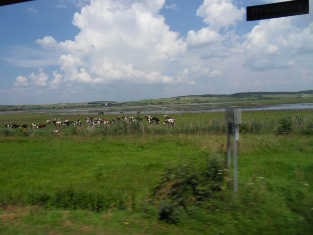 22. 7. 2010 - foto