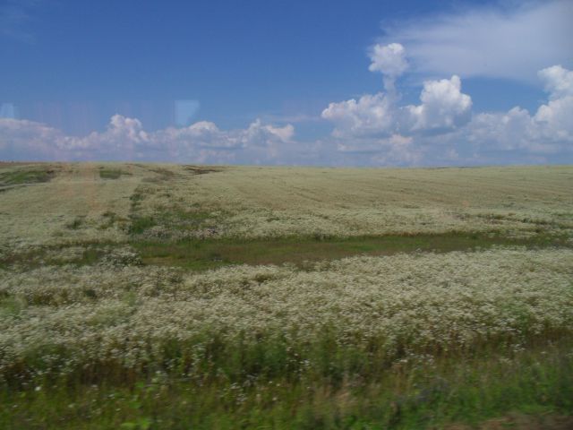 22. 7. 2010 - foto
