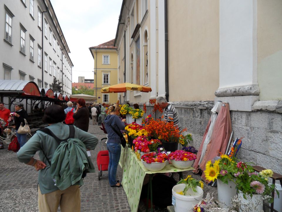 4. 9. 2010 - foto povečava