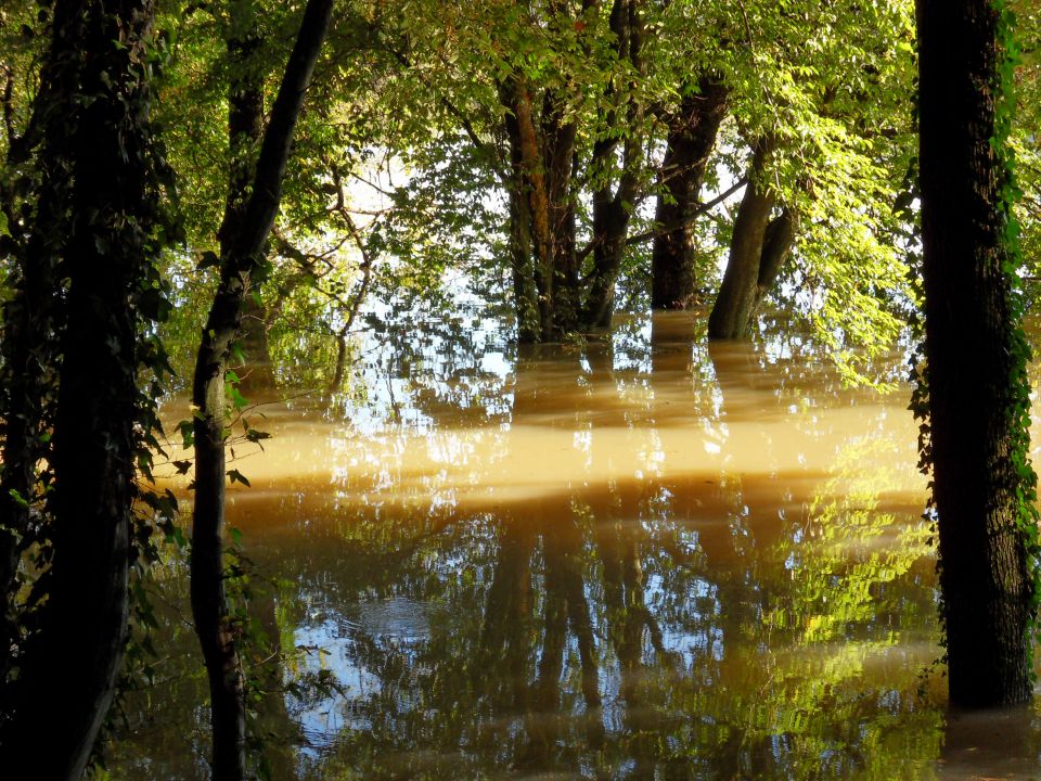 20. 9. 2010 - foto povečava