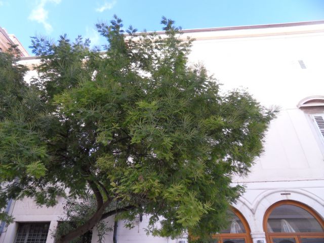 27. 9. 2010 - foto