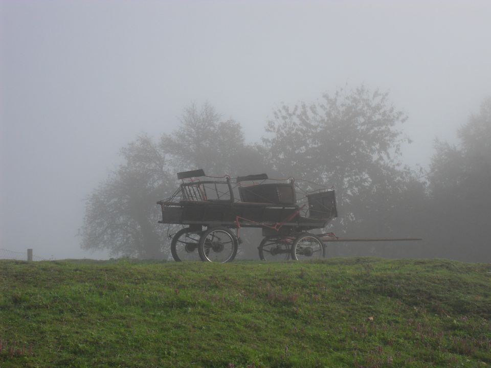 28. 9. 2010 - foto povečava