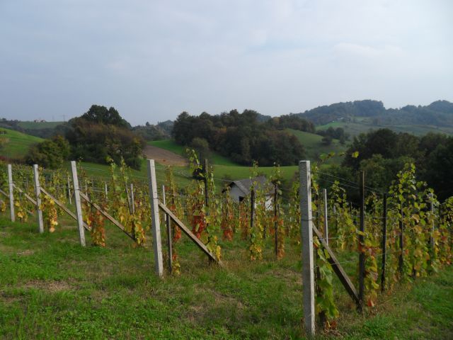 3. 10. 2010 - foto