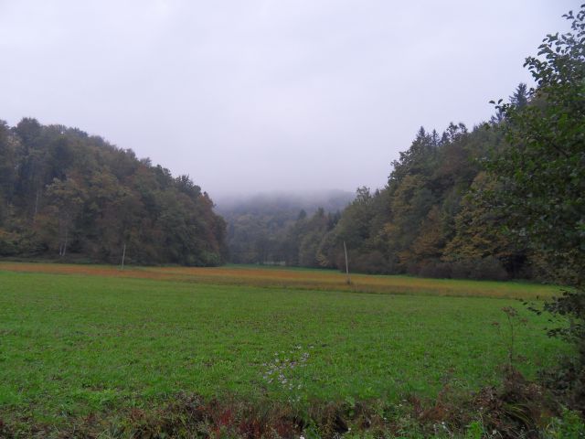 4. 10. 2010 - foto