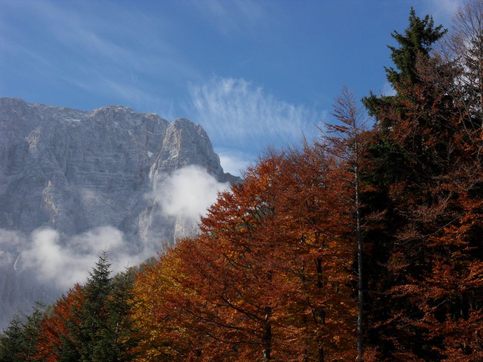 9. 10. 2010 - foto povečava