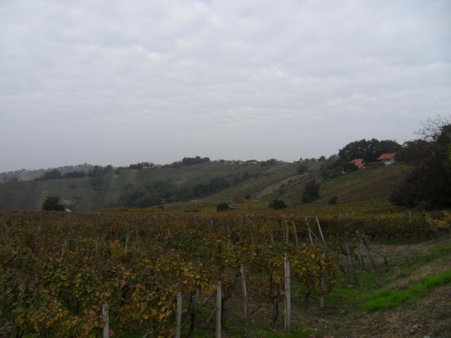 16. 10. 2010 - foto