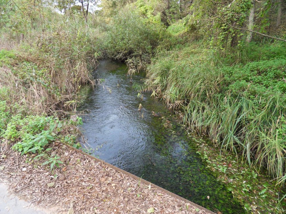 16. 10. 2010 - foto povečava