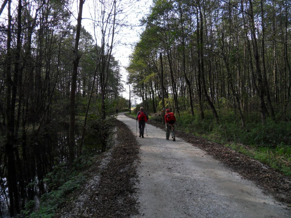 16. 10. 2010 - foto povečava